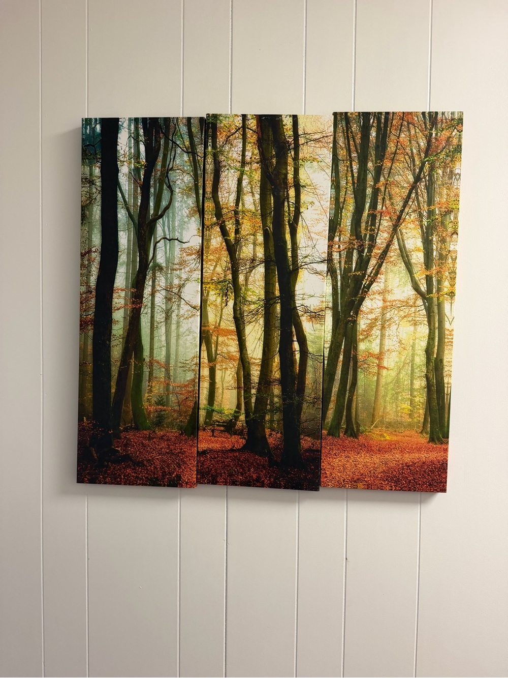 Forest Woodland Triptych Wall Art - Green and Brown